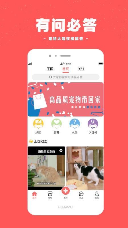 宠物王国app下载,宠物王国手机版